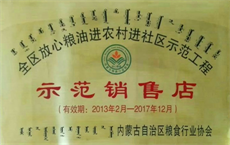 示范銷(xiāo)售店